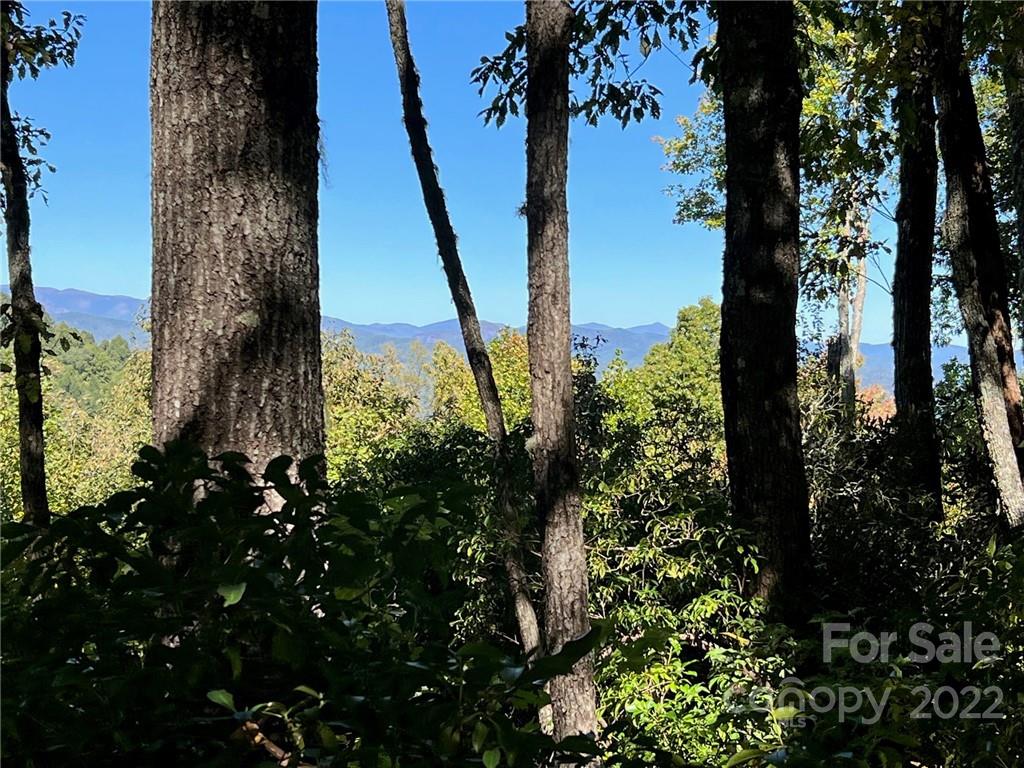 Tbd Tbd Oakridge Road, Unit 16 Rosman, NC 28772 - Photo 5 of 6 a view of a garden