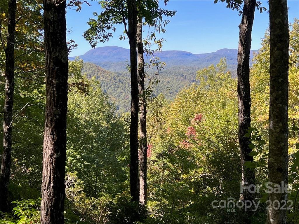 Tbd Tbd Oakridge Road, Unit 16 Rosman, NC 28772 - Photo 6 of 6 a view of a yard with a tree