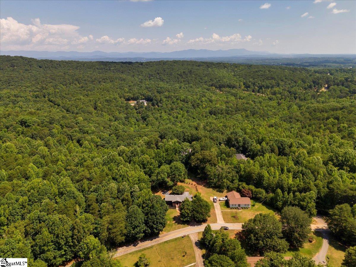 3051 State Park Road Greenville, SC 29609 - Photo 38 of 45