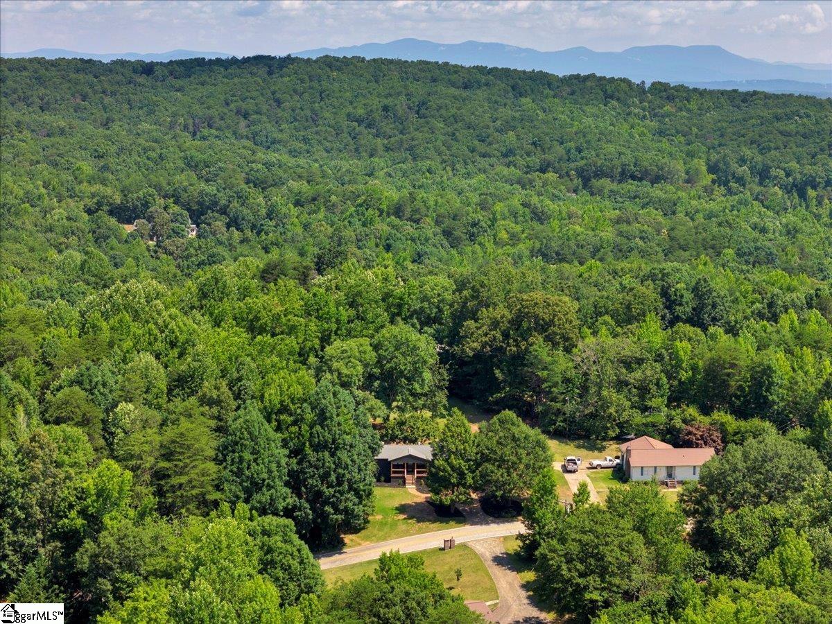 3051 State Park Road Greenville, SC 29609 - Photo 39 of 45