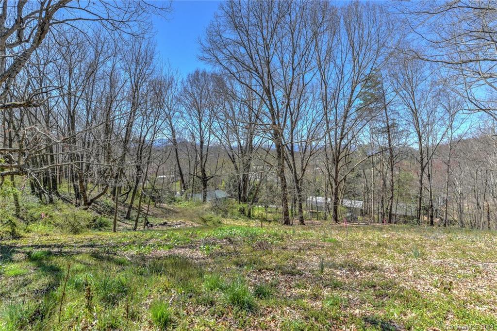 235 Asbury Road Candler, NC 28715 - Photo 28 of 37 Gallery Image 28