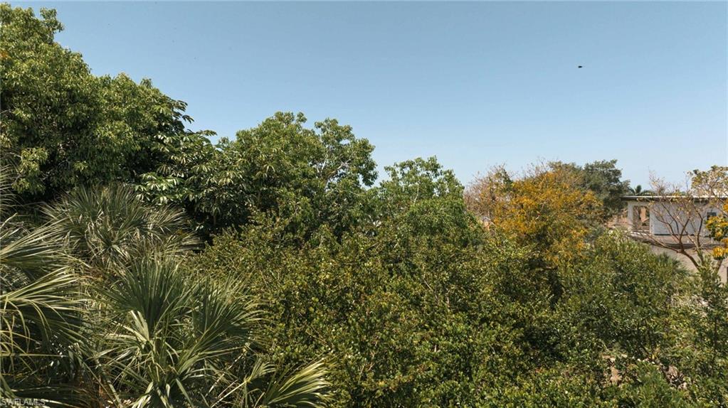 720 Inlet Drive Marco Island, FL 34145 - Photo 10 of 14 a view of a large yard with plants and large trees