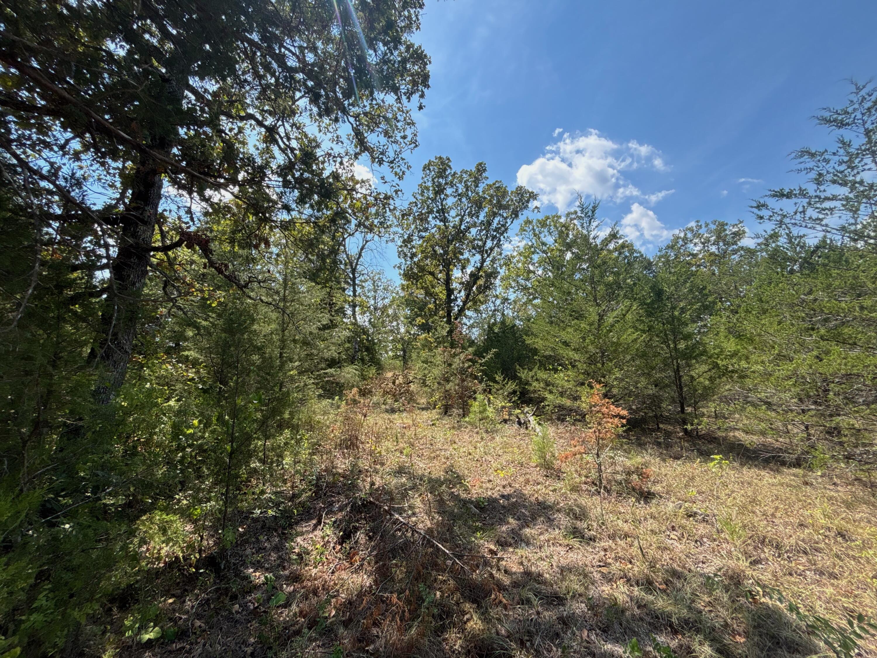 8 Little Woods Road Elizabeth, AR 72531 - Photo 18 of 22 7 3