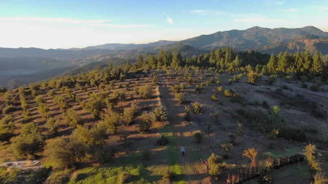$499,000 | 47211 Fox Rock Road, Laytonville, CA 95454