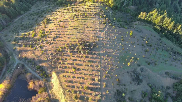 $499,000 | 47211 Fox Rock Road, Laytonville, CA 95454