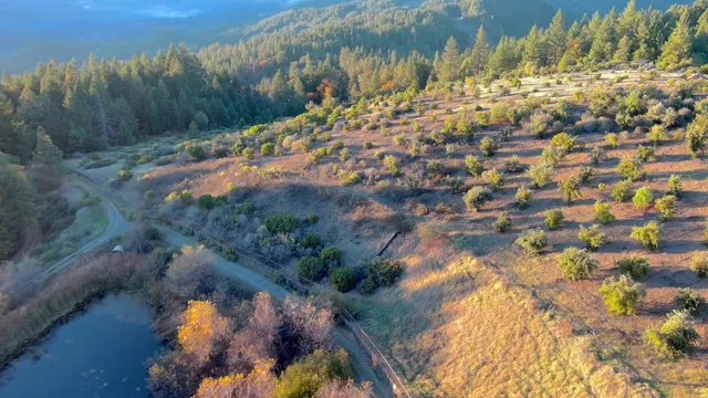 $499,000 | 47211 Fox Rock Road, Laytonville, CA 95454