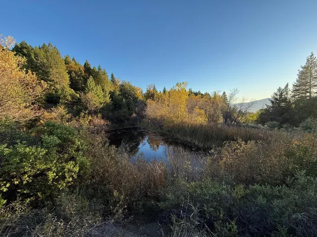 $499,000 | 47211 Fox Rock Road, Laytonville, CA 95454