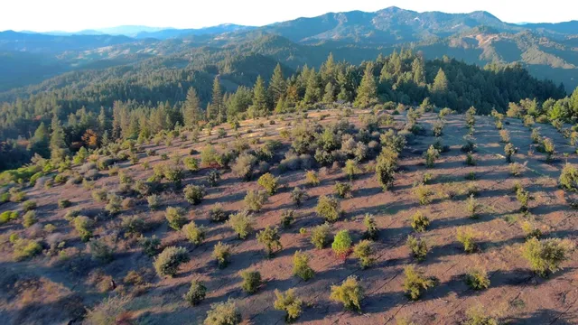 $499,000 | 47211 Fox Rock Road, Laytonville, CA 95454