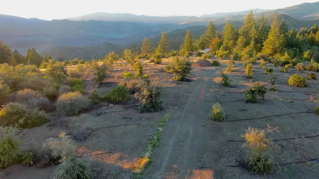 $499,000 | 47211 Fox Rock Road, Laytonville, CA 95454