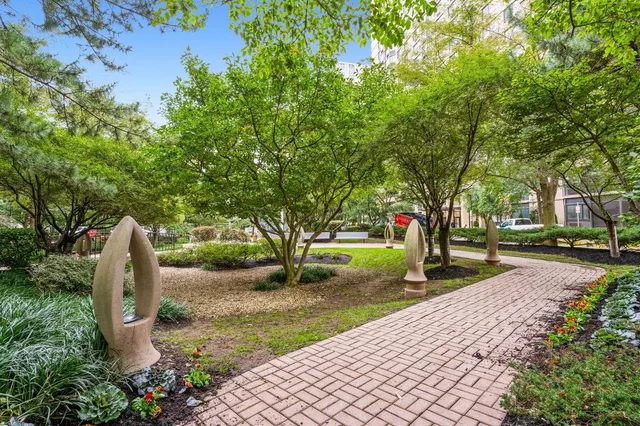 a view of a park with large trees