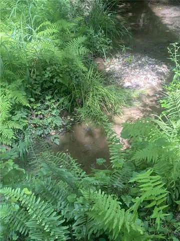 $750,000 | 96 Joyce Drive, Cleveland, GA 30528