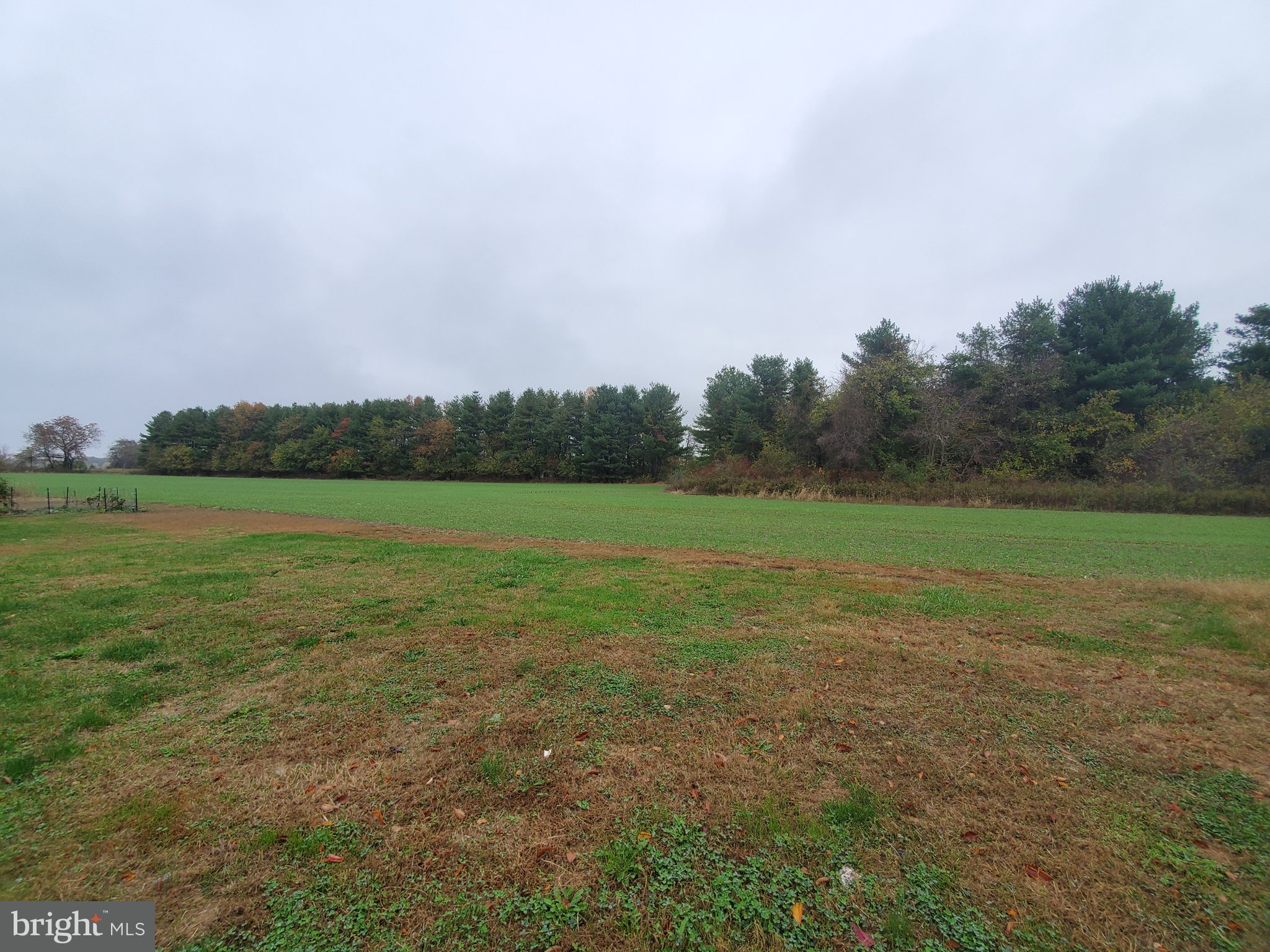 211 Bonnybrook Road Middletown, DE 19709 - Photo 16 of 16 a view of a field with grass and trees in the back