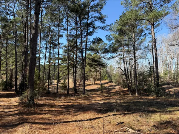 $245,000 | 3984 County Road 3100, San Augustine, TX 75972