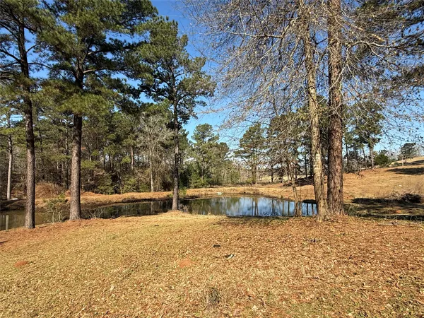 a view of a yard with wooden fence