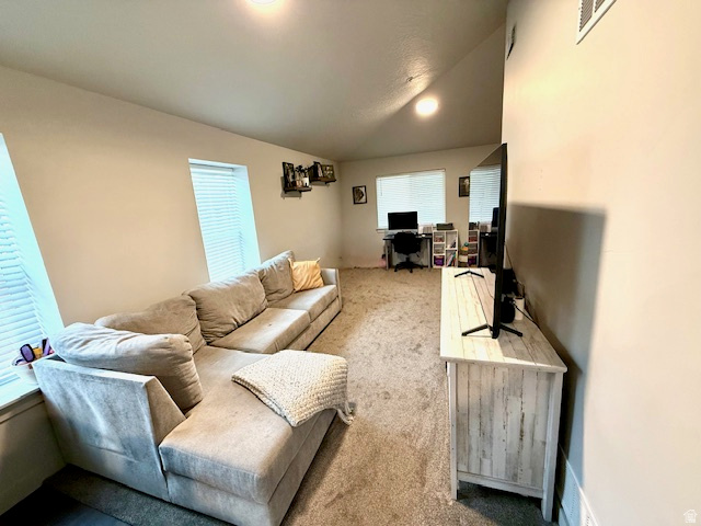 618 South 100 West, Unit D306 Springville, UT 84663 - Photo 4 of 12