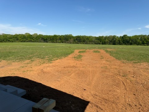 788 Halls Mill Road Unionville, TN 37180 - Photo 3 of 7