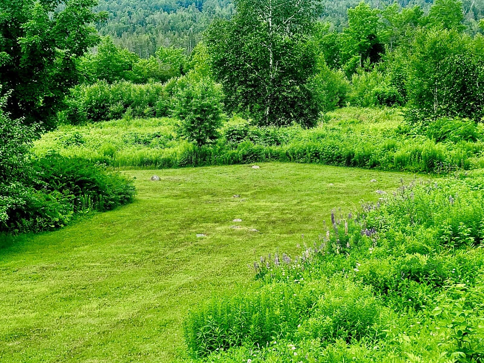 419 Williamsburg Road Brownville, ME 04414 - Photo 8 of 105 Back Yard