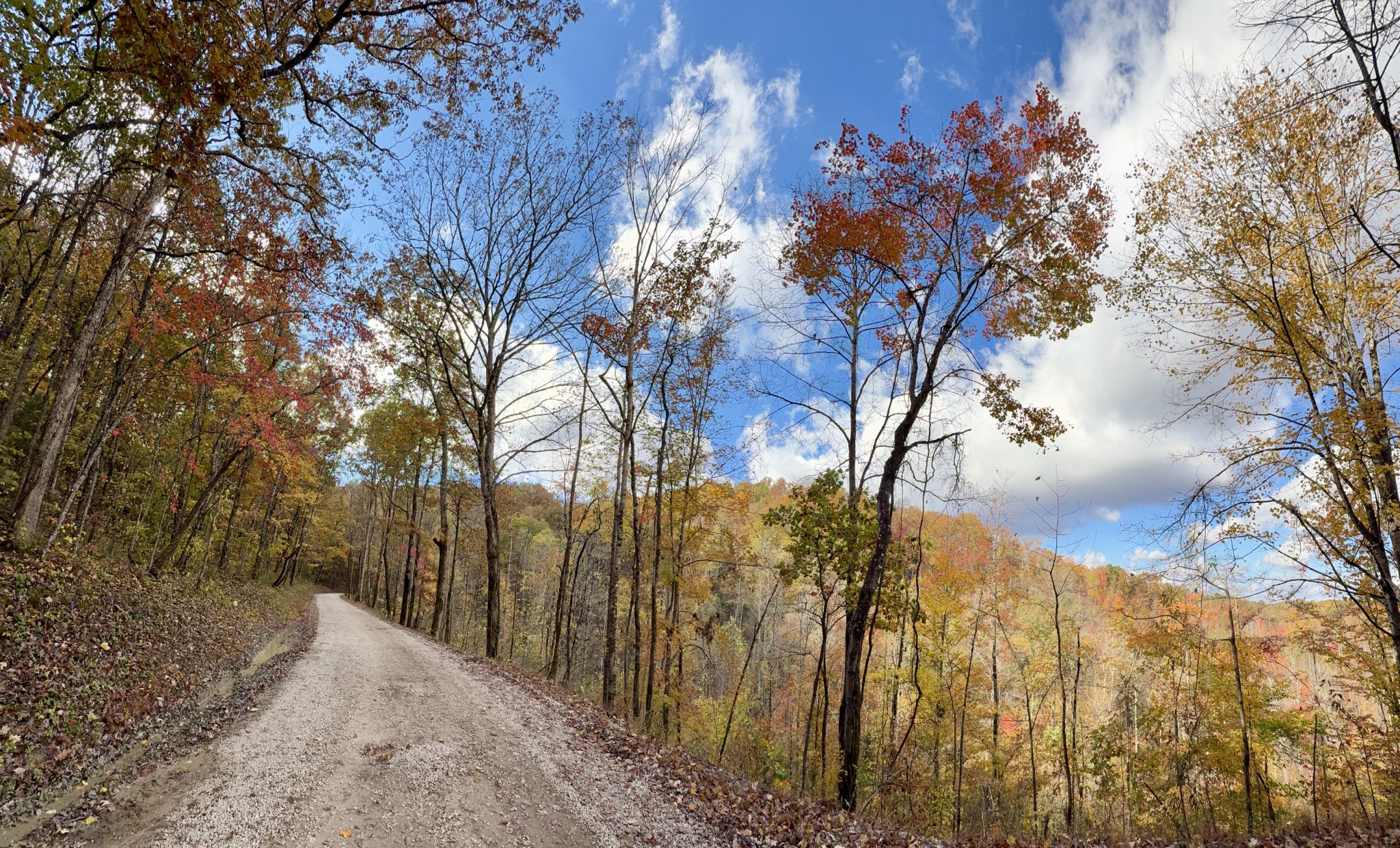 1 East Robbins Road East Robbins, TN 37852 - Photo 14 of 76
