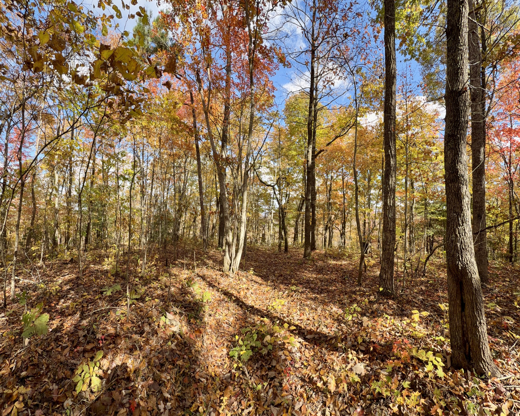1 East Robbins Road East Robbins, TN 37852 - Photo 15 of 76