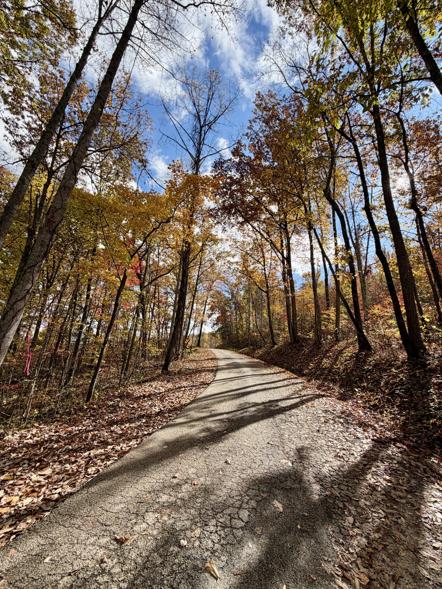 1 East Robbins Road East Robbins, TN 37852 - Photo 16 of 76