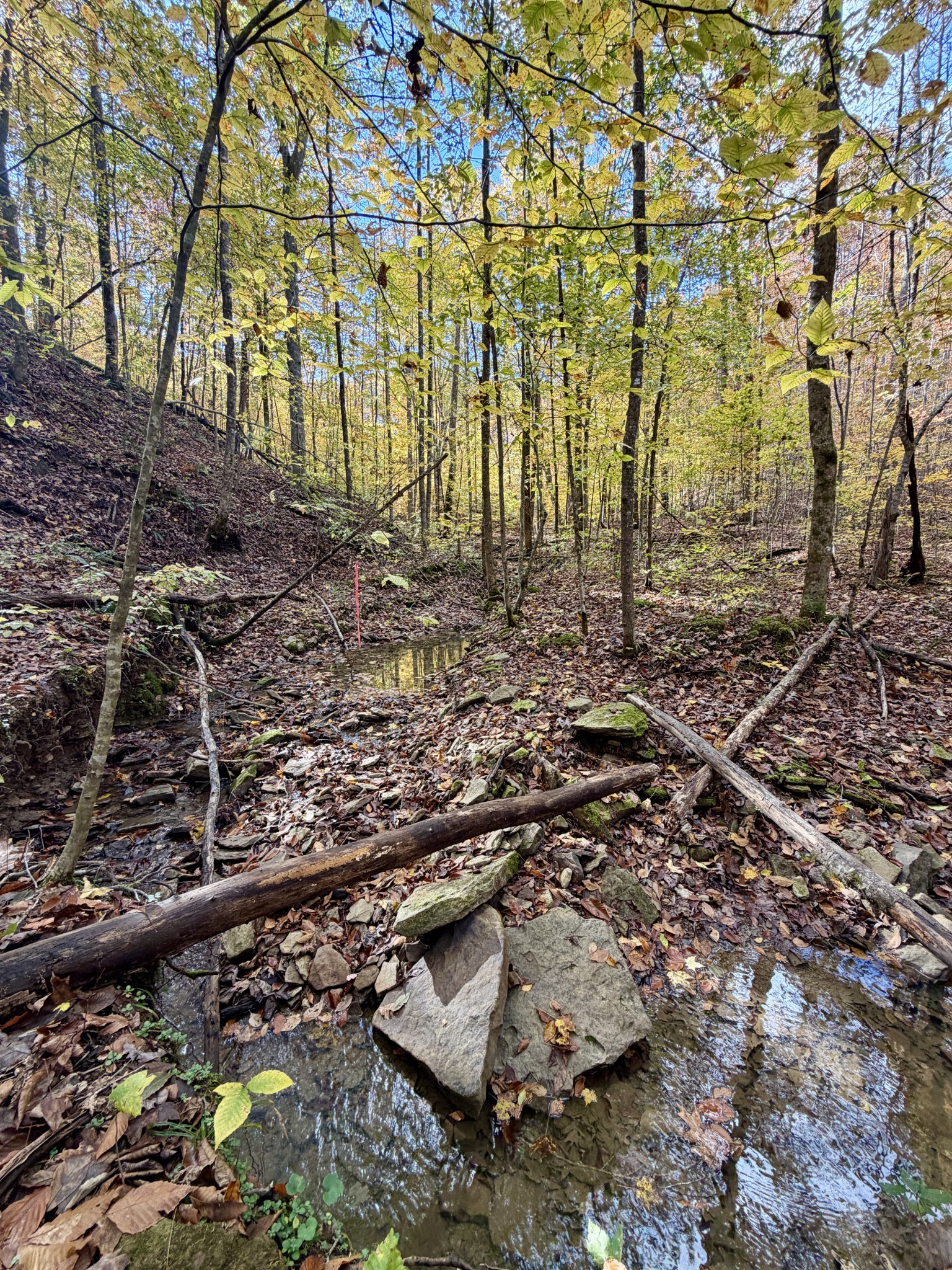 1 East Robbins Road East Robbins, TN 37852 - Photo 20 of 76
