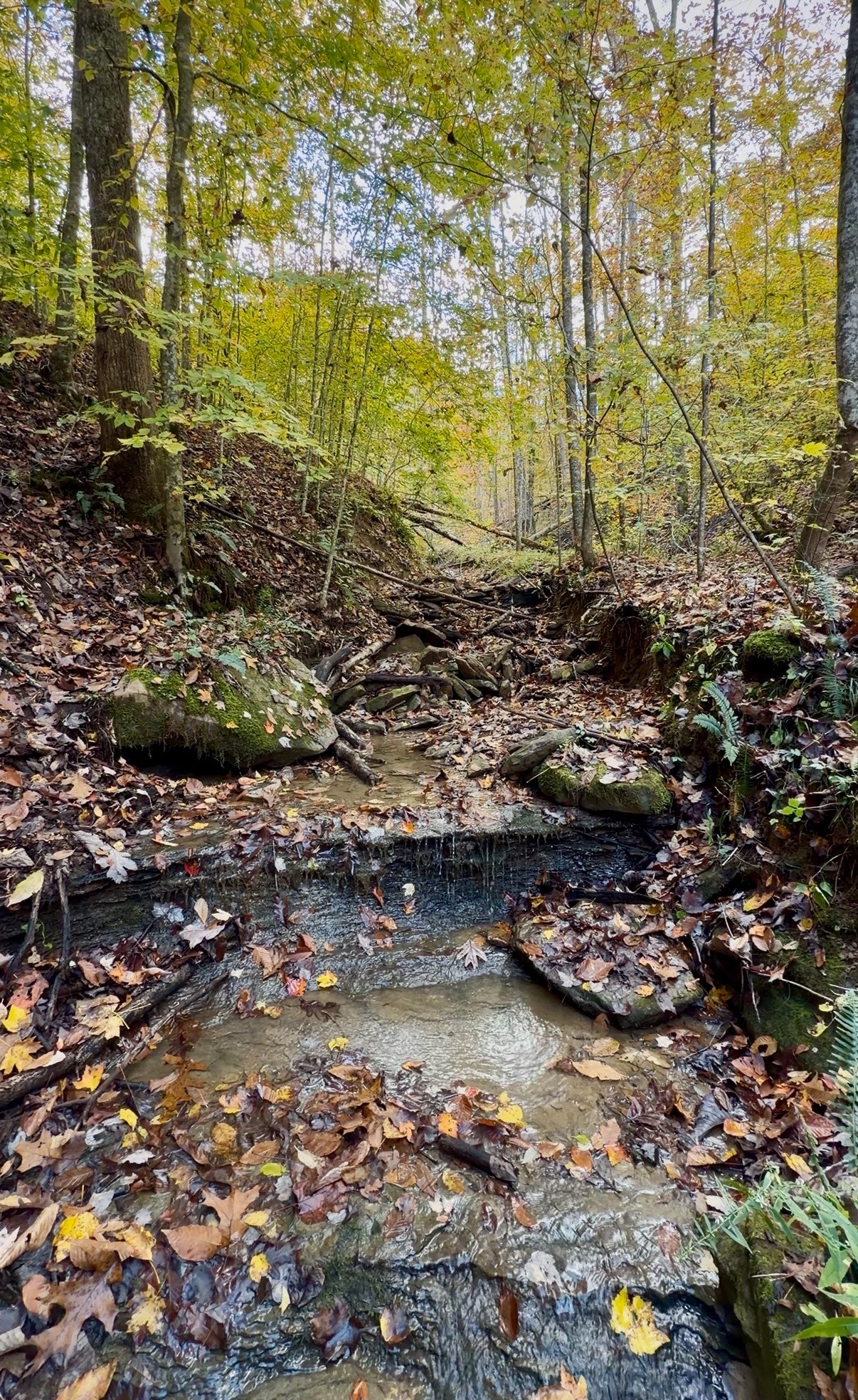 1 East Robbins Road East Robbins, TN 37852 - Photo 2 of 76