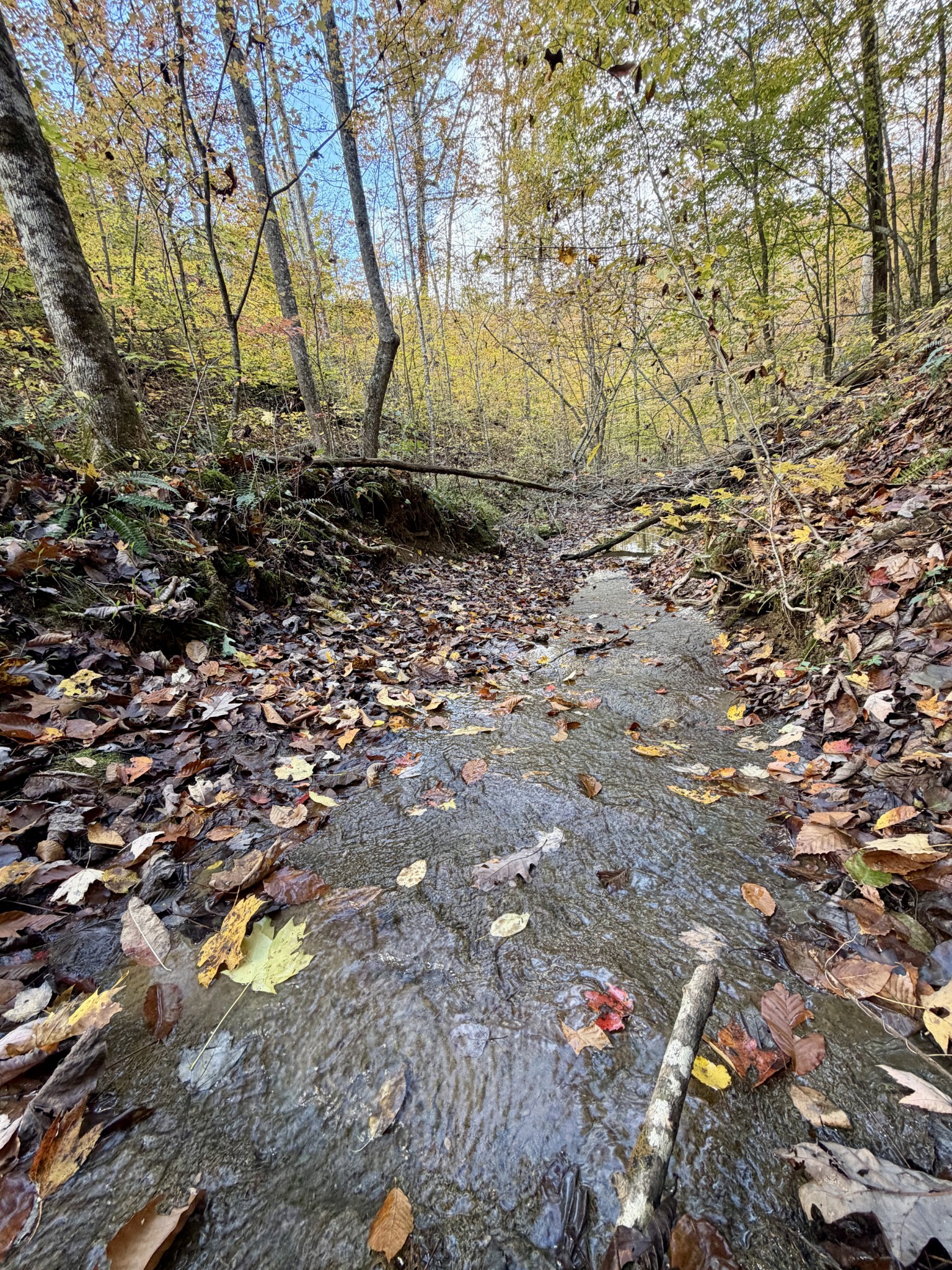 1 East Robbins Road East Robbins, TN 37852 - Photo 24 of 76
