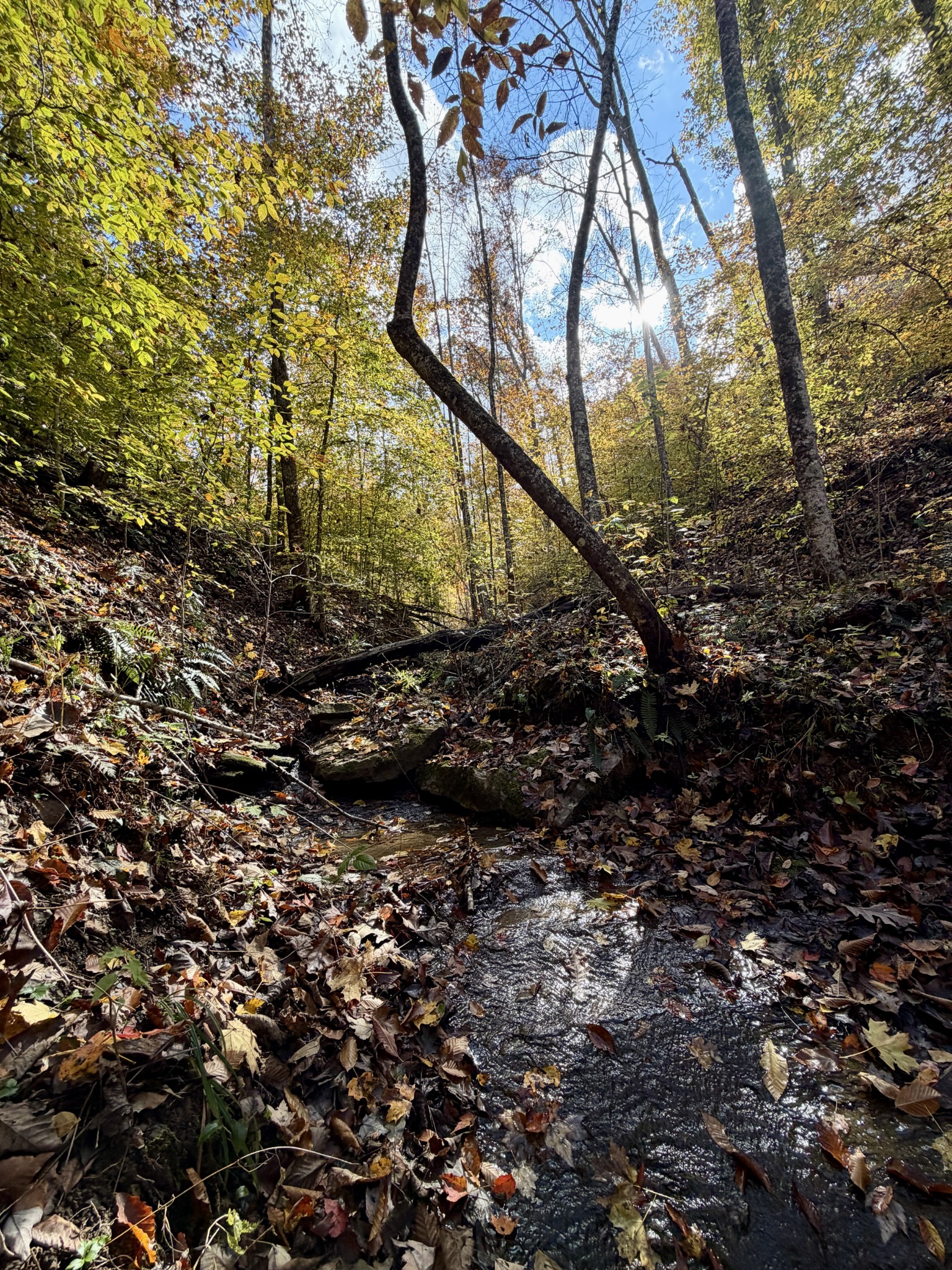 1 East Robbins Road East Robbins, TN 37852 - Photo 25 of 76