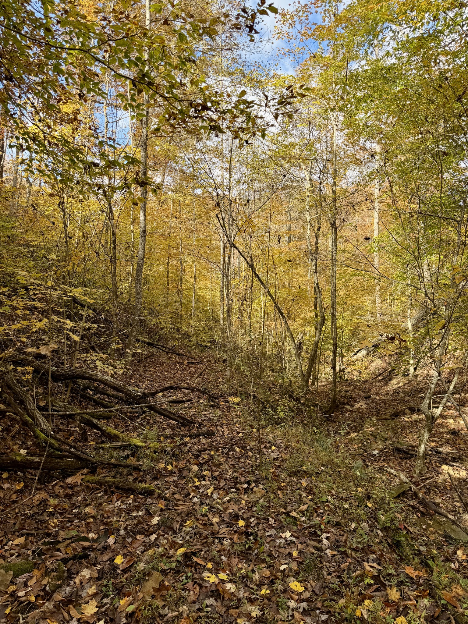 1 East Robbins Road East Robbins, TN 37852 - Photo 51 of 76