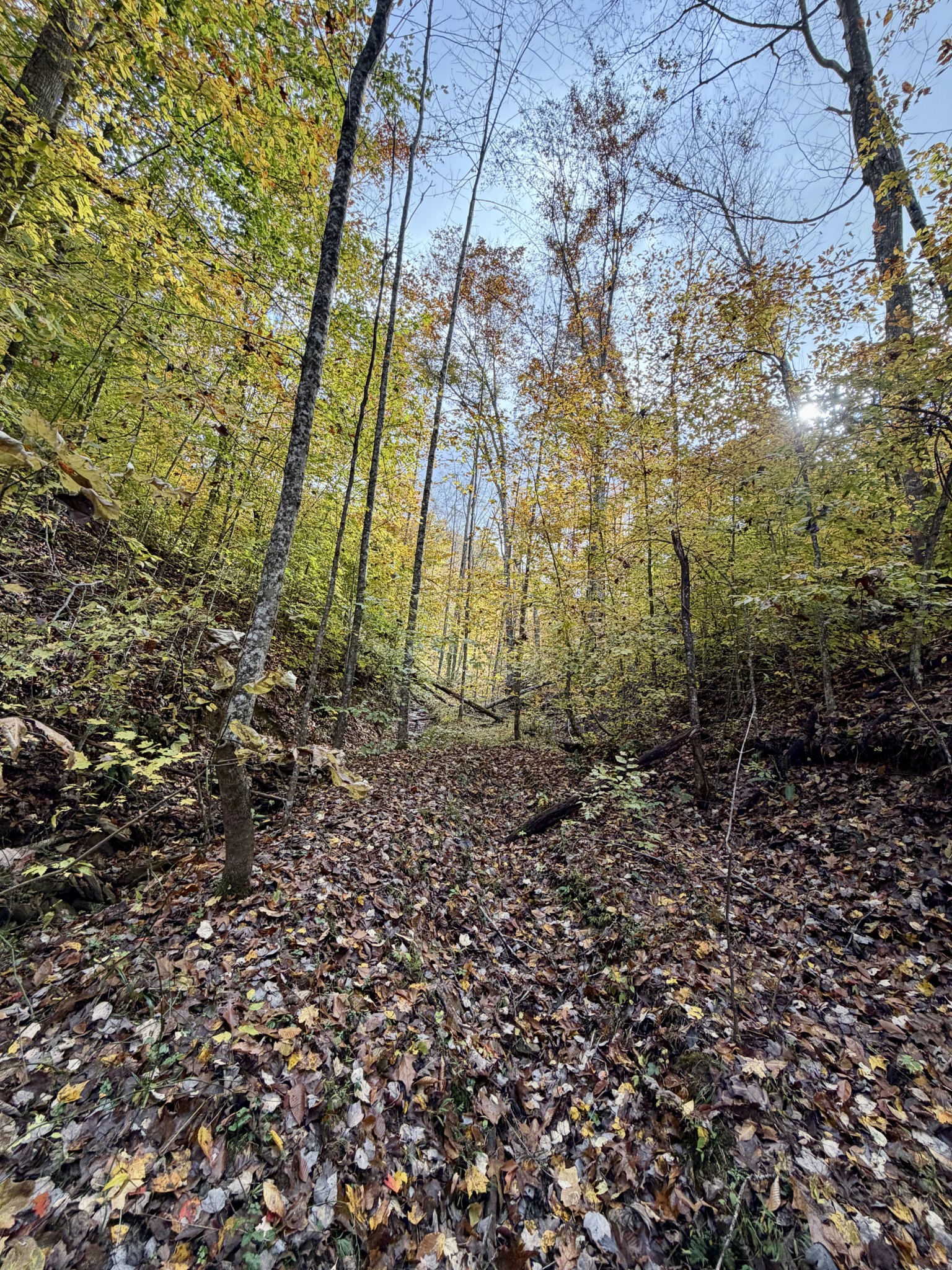 1 East Robbins Road East Robbins, TN 37852 - Photo 52 of 76