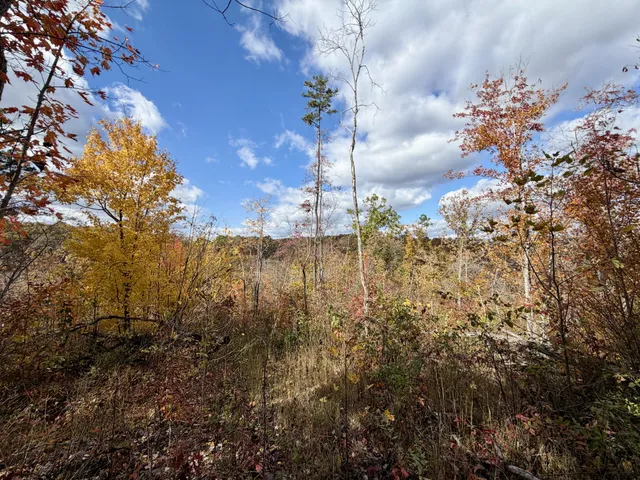 $209,000 | 1 East Robbins Road East, Robbins, TN 37852