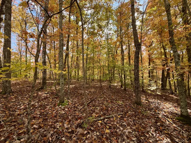 $209,000 | 1 East Robbins Road East, Robbins, TN 37852