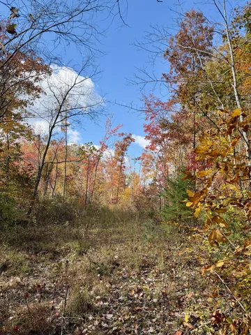 $209,000 | 1 East Robbins Road East, Robbins, TN 37852