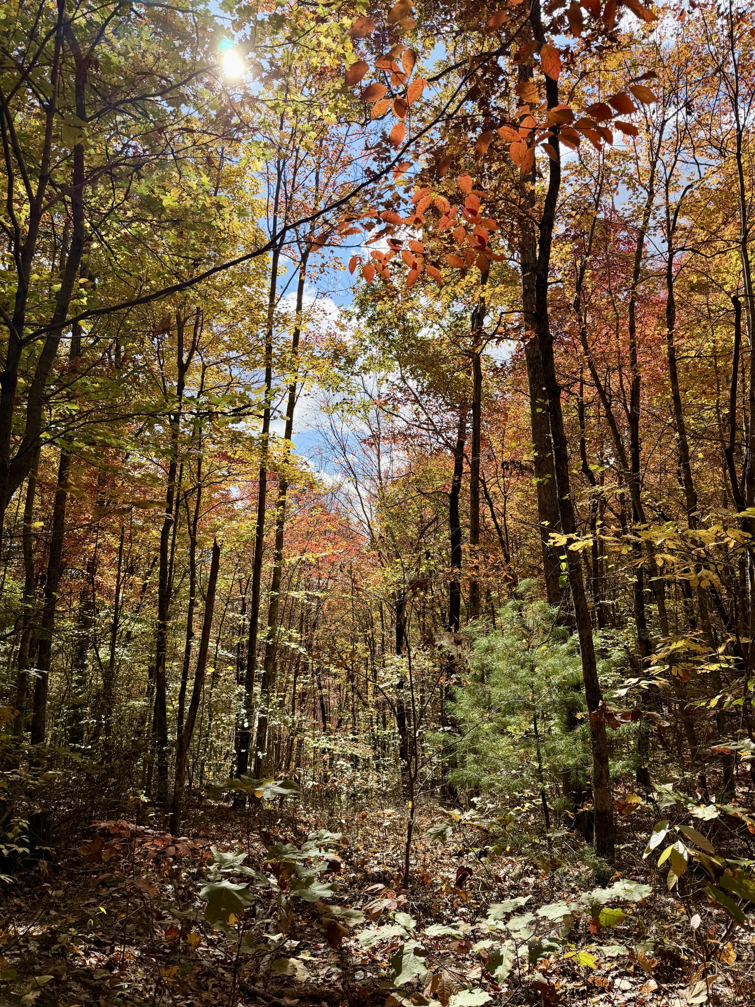 1 East Robbins Road East Robbins, TN 37852 - Photo 60 of 76