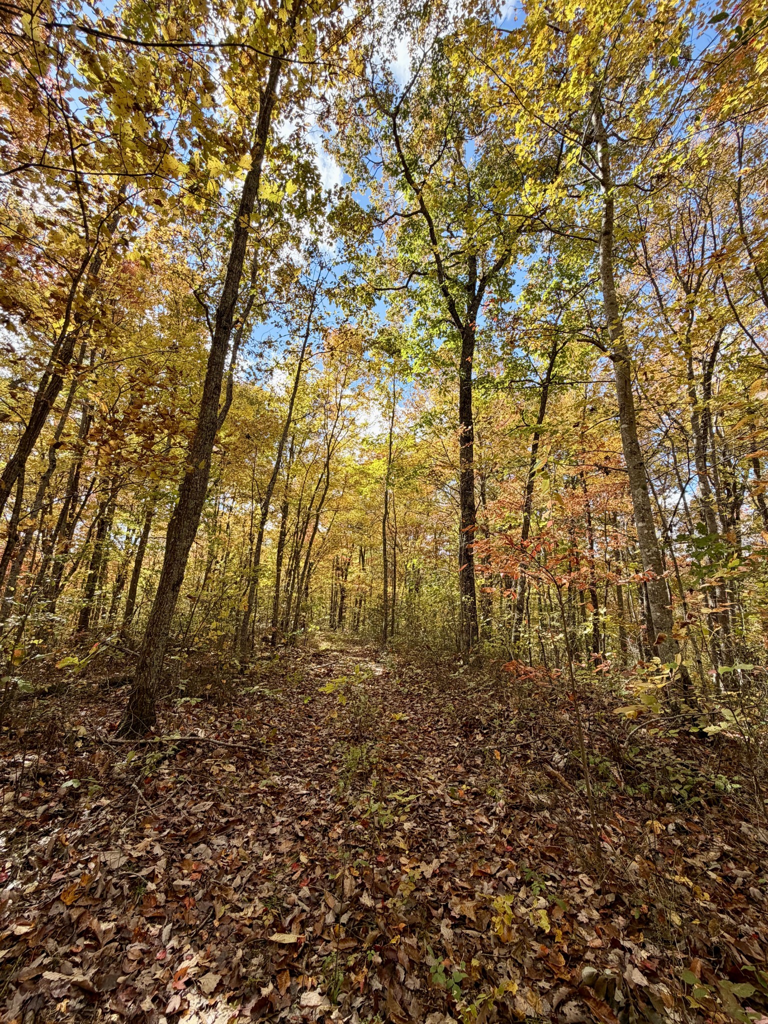 1 East Robbins Road East Robbins, TN 37852 - Photo 65 of 76
