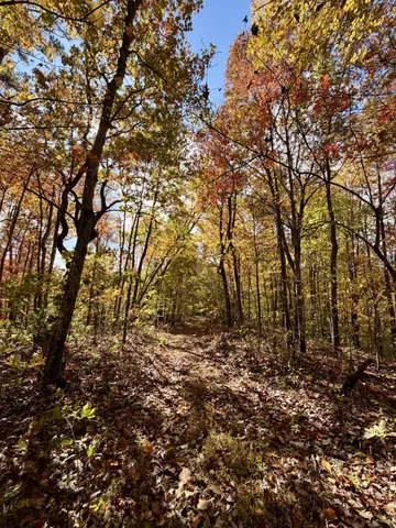 $209,000 | 1 East Robbins Road East, Robbins, TN 37852