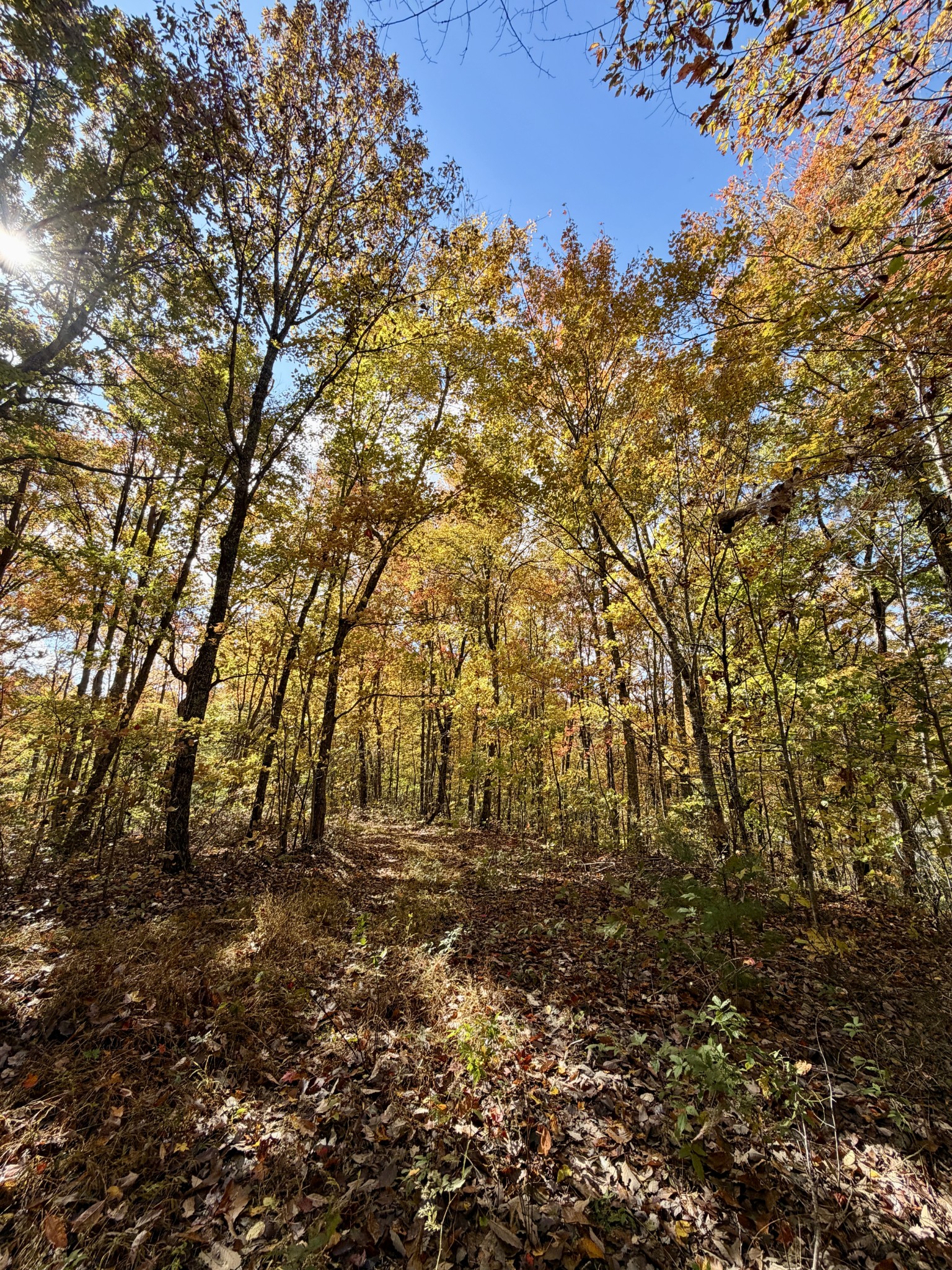 1 East Robbins Road East Robbins, TN 37852 - Photo 67 of 76