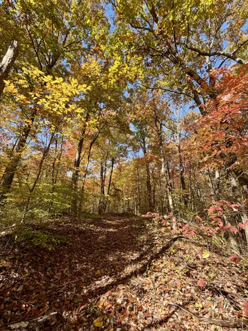 $209,000 | 1 East Robbins Road East, Robbins, TN 37852