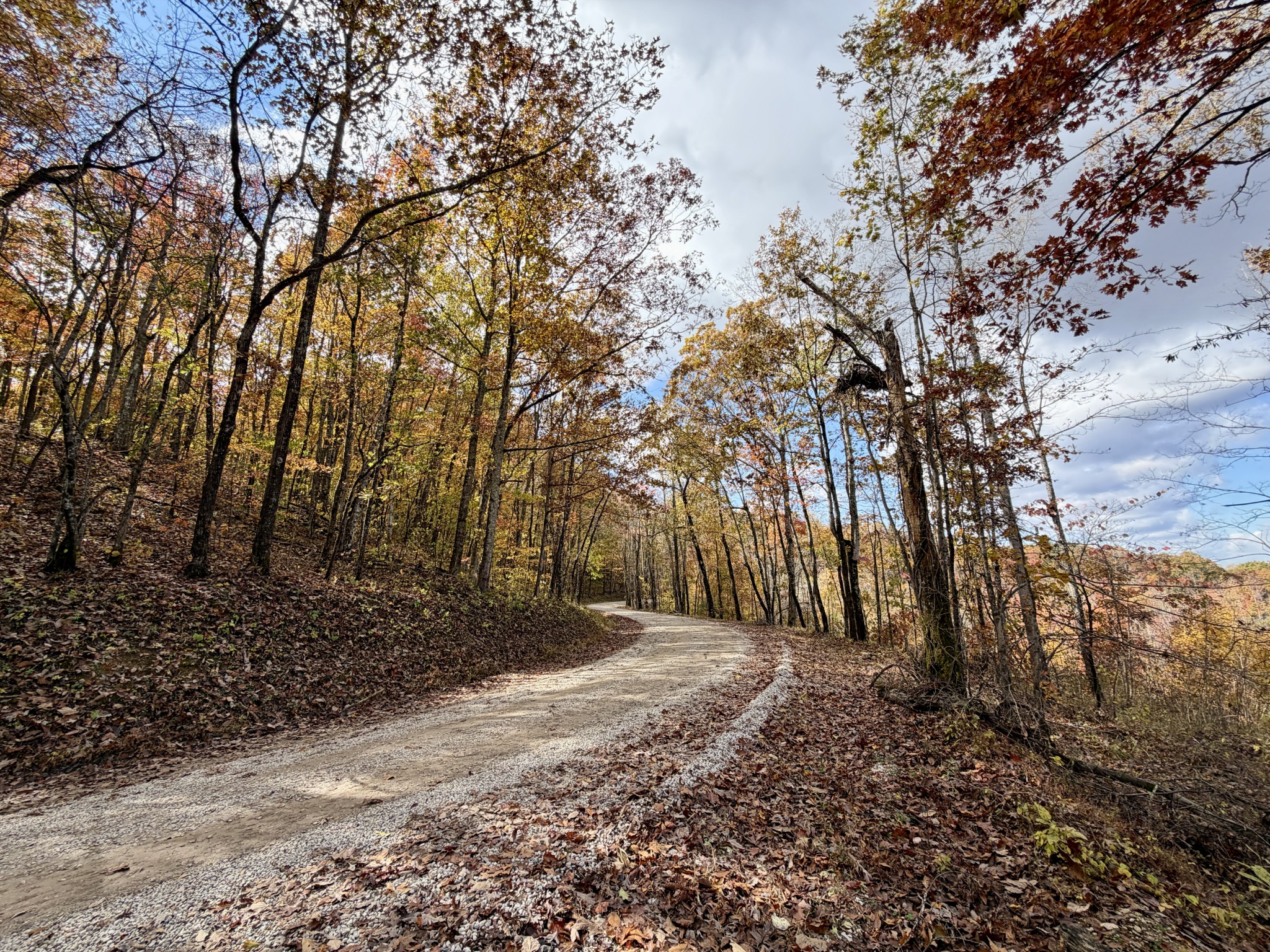 1 East Robbins Road East Robbins, TN 37852 - Photo 70 of 76 a backyard of a house with lots of green space