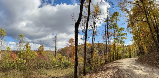 a view of a backyard of the house