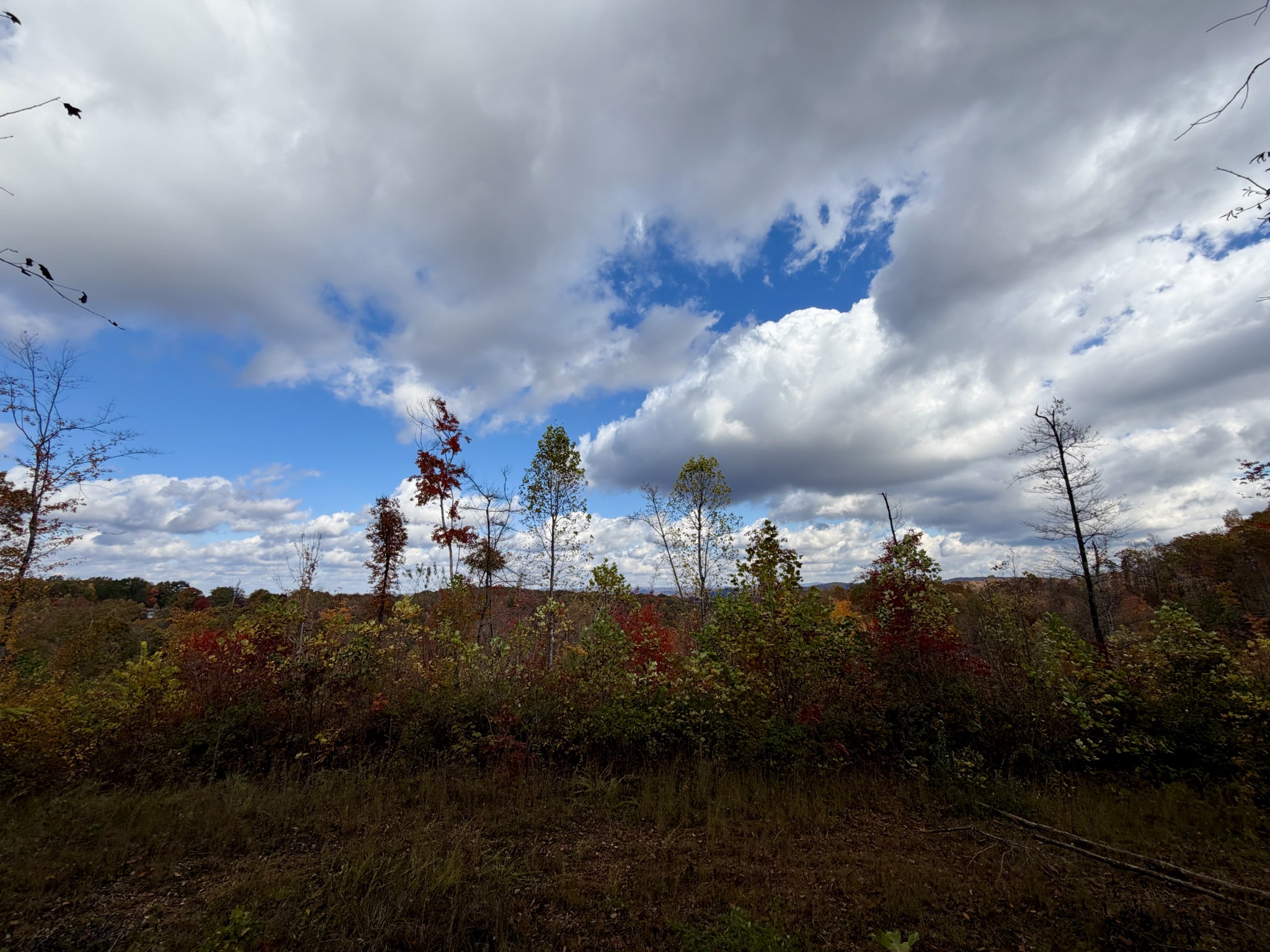 1 East Robbins Road East Robbins, TN 37852 - Photo 73 of 76 a view of a pathway both side of building