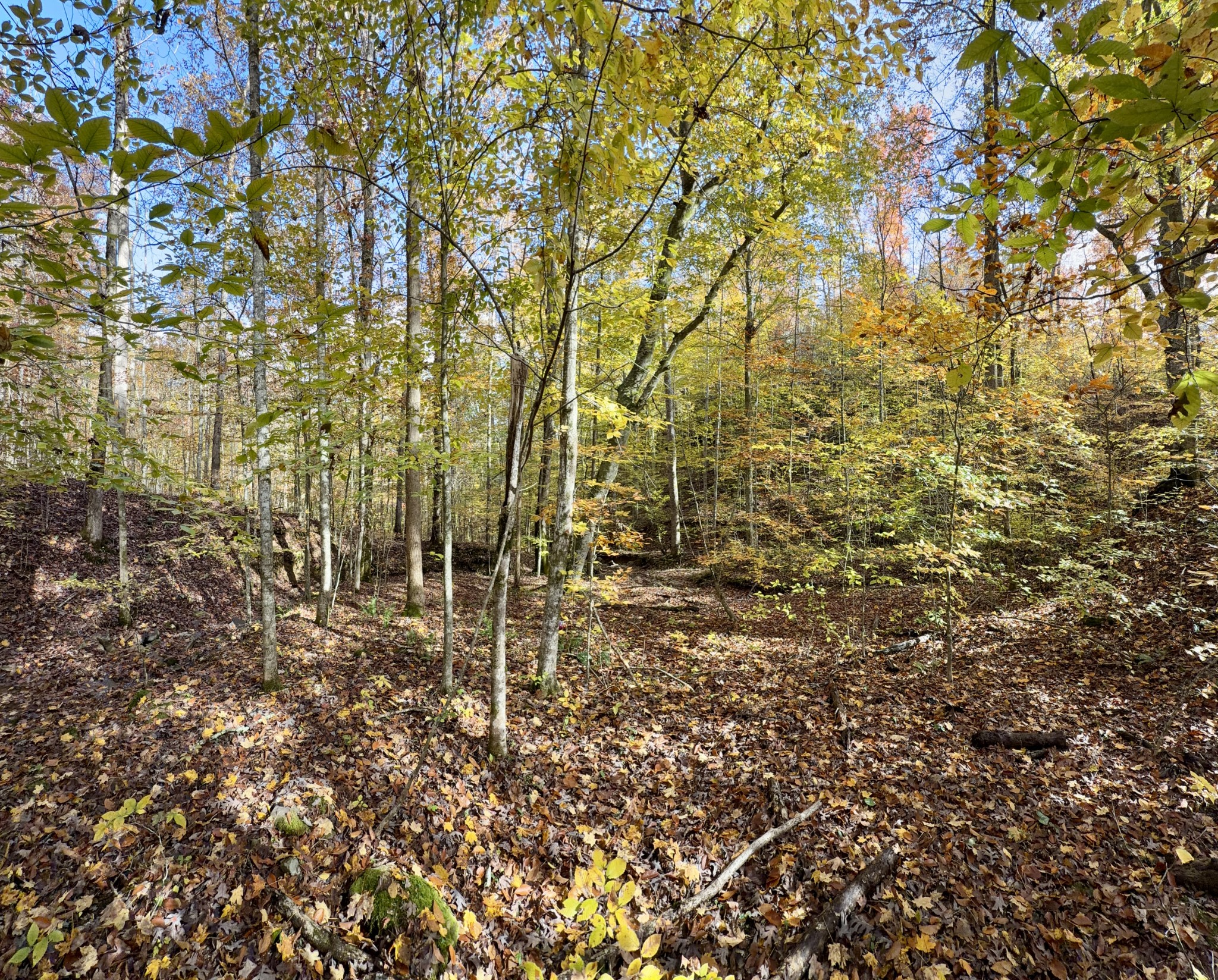 1 East Robbins Road East Robbins, TN 37852 - Photo 75 of 76