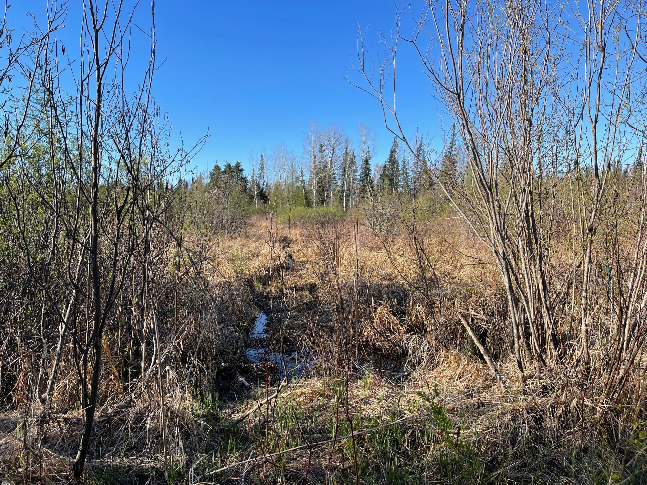 508 Cedar Valley Road Floodwood, MN 55736 - Photo 8 of 12