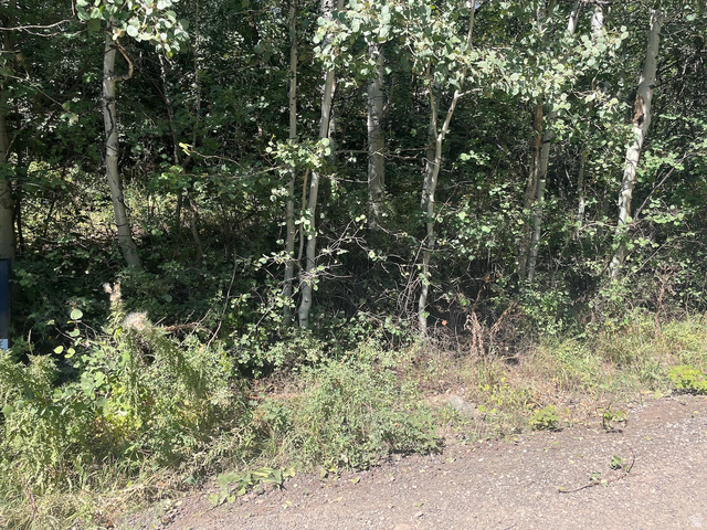 10337 River Road, Unit 123 Kamas, UT 84036 - Photo 20 of 22 View of lot