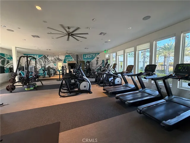 a view of a kitchen with stainless steel appliances a sink and a potted plant