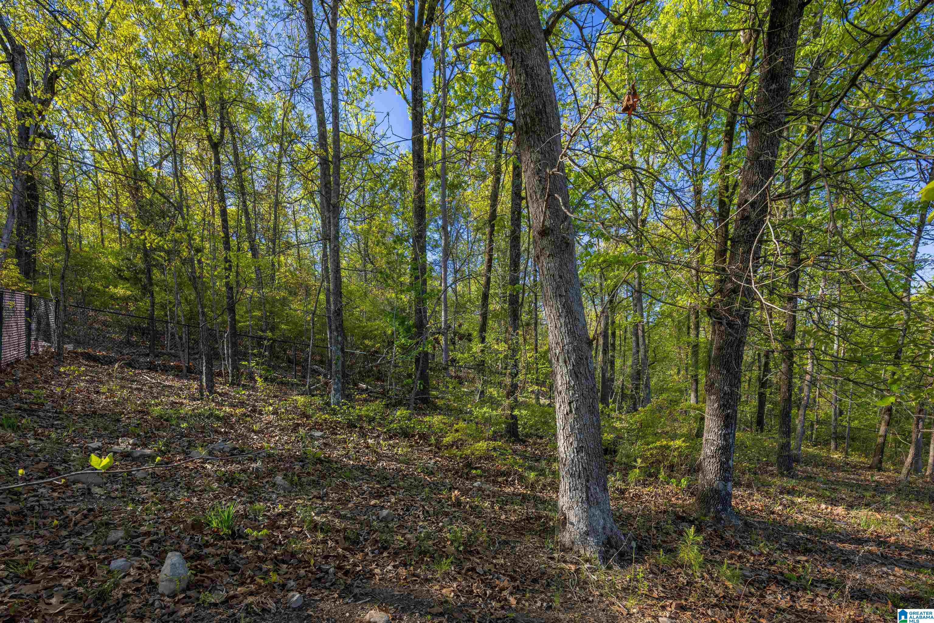 1441 Stoneykirk Road, Unit 467 Pelham, AL 35124 - Photo 4 of 8