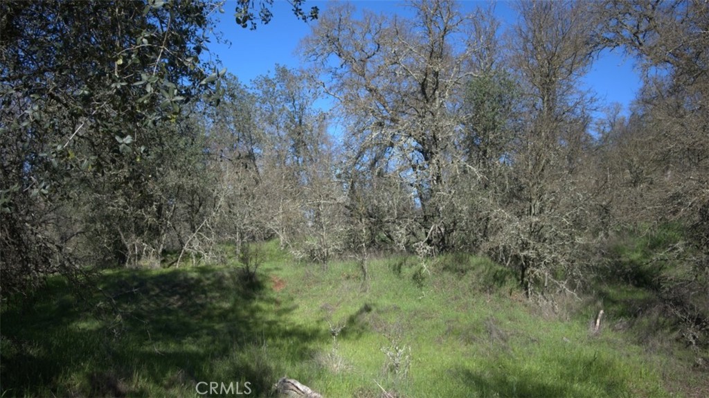 123 Railbridge Road Oroville, CA 95966 - Photo 1 of 22 a view of a forest