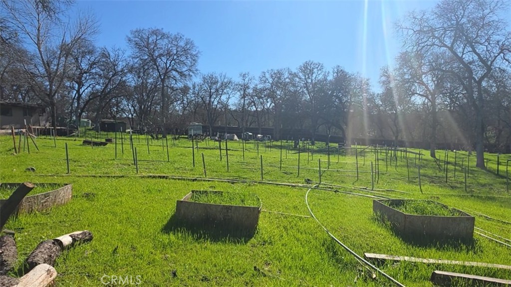123 Railbridge Road Oroville, CA 95966 - Photo 13 of 22 a view of a park with a large trees