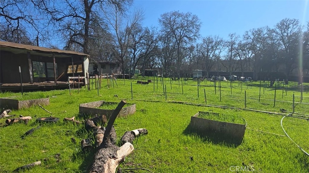 123 Railbridge Road Oroville, CA 95966 - Photo 14 of 22 a view of a park with large trees