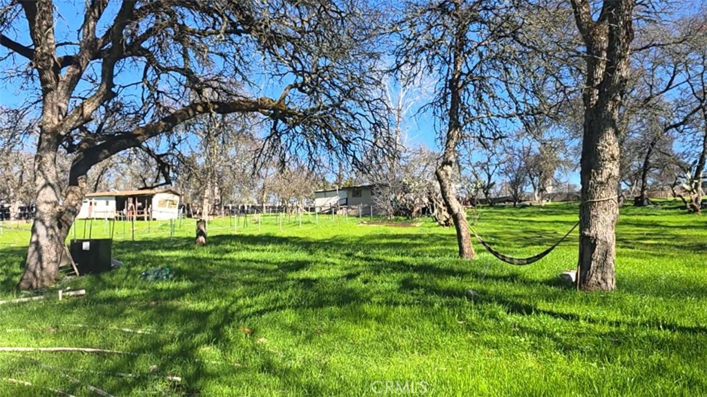 123 Railbridge Road Oroville, CA 95966 - Photo 15 of 22 a view of a park with a tree